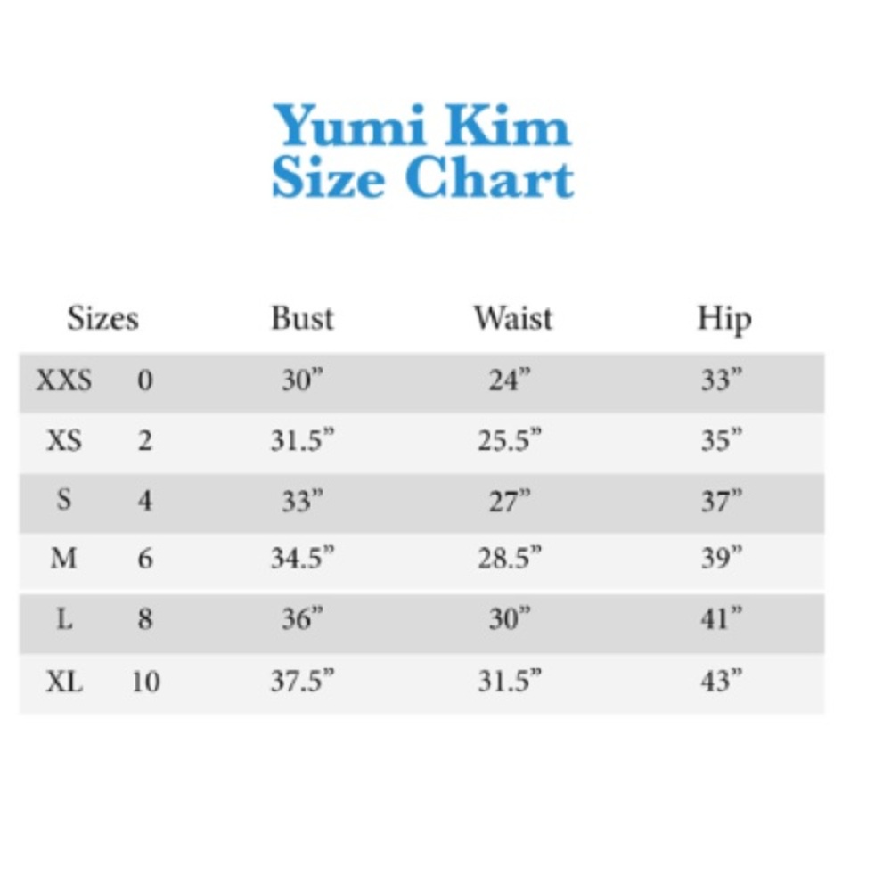 NWT🦋YUMI KIM🦋CARA SILK SKATER SKIRT🦋 - Picture 7 of 7